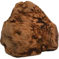 Racine à mâcher Chewies pour chien - 2 friandises - taille L