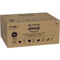 120x85g Whiskas Adult Sélection de volaille en gelée Pâtée pour chat