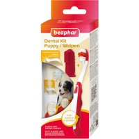 set : brosse à dents + brosse à doigts + dentifrice beaphar Kit de soins dentaires pour chiot