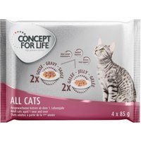 Provpack: Concept for Life 4 x 85 g - All Cats