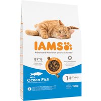 10kg Adult IAMS for Vitality poisson de l'océan pour chat