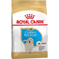 3kg Puppy Golden Retriever Royal Canin pour chiot