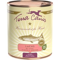 Terra Canis 12 x 800 g umido cane - NUOVO: Salmone con Miglio, Pesca ed Erbe aromatiche