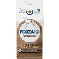 Forza 10 Active Line Intestinal Colon Phase 1 med fisk - Ekonomipack: 2 x 10 kg