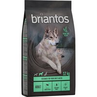 Lot Briantos SANS CÉRÉALES 2 x 12 kg pour chien - Adult agneau, pommes de terre