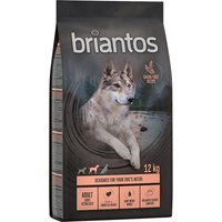 Lot Briantos SANS CÉRÉALES 2 x 12 kg pour chien - Adult Light/Sterilised dinde & pommes de terre