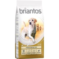 Briantos ração para cães - Pack económico - Adult Maxi (2 x 14 kg)