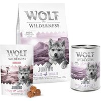 Testa Wolf of Wilderness Junior i blandat provpack! -Set: torrfoder, våtfoder, snack