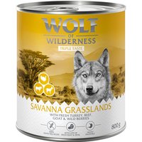 24x800g The Taste Of The Savanna Wolf of Wilderness - Pâtée pour chien