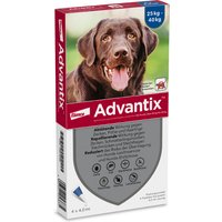 Advantix® grand chien, de 25 kg à 40 kg - 6 mois de protection (6 pipettes)