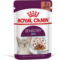 12x85g Sensory Feel en sauce Royal Canin - Pâtée pour chat