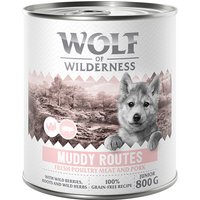 Wolf of Wilderness Junior “Expedition” 6 x 800 g pour chien - Muddy Routes - volaille, porc