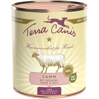 Terra Canis 12 x 800 g umido cane - Mix: 6 x Tacchino + 6 x Agnello