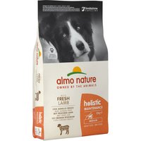 12kg Adult Medium agneau, riz Almo nature croquettes pour chien
