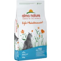 11kg poisson gras, riz Holistic Almo Nature croquettes pour chat + 1kg offert !