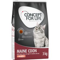 3kg Maine Coon Adult sans céréales saumon Concept for Life - Croquettes pour chat