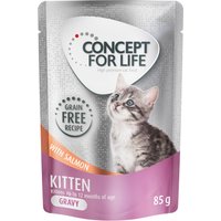 Concept for Life Kitten en sauce saumon sans céréales pour chat - 12 x 85 g