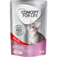 Lot Concept for Life sans céréales 48 x 85 g pour chat - Kitten bœuf en sauce