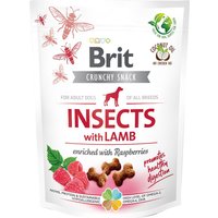 Insectos, cordeiro e framboesas da Brit Care Crunchy Cracker - 200 g