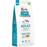 Brit Care Grain-free Adult con salmón y patata - 12 kg