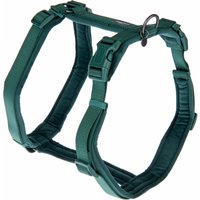 Nomad Tales Blush sele, emerald - Stl. M: 53 - 71 cm bröstomfång, B 25 mm