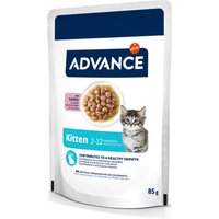 Advance Kitten dinde pour chaton - 24 x 85 g