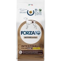 Forza 10 Intestinal Colon Phase 1 med lamm - Ekonomipack: 2 x 10 kg