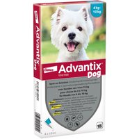 4 Pipetten Advantix® 100/500 voor honden van 4-10kg - BE