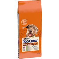 PURINA Dog Chow Senior Agnello Crocchette per cane - 14 kg