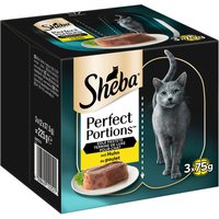 Sheba Perfect Portions 6 x 37,5 g - Paté med kyckling