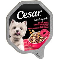 Mégapack Cesar 14 x 150 g pour chien - Ragoût bœuf, pâtes, carottes