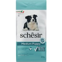 Schesir Medium Puppy poulet pour chiot