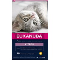Eukanuba Healthy Start Kitten - 10 kg