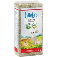 Lillebro weidehooi