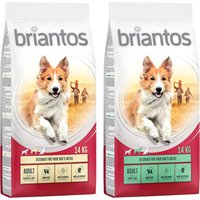 2x14kg Adult, agneau & poulet Briantos pour chien