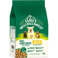 James Wellbeloved Adult Large Breed Dog Hypoallergenic Lamb & Rice - 10 kg