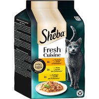 Sheba Fresh Cuisine Taste of Rome 6 x 50 g - Kalkon + Kyckling + Fjäderfä i sås