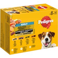 24 x 100 g Pedigree sachets fraîcheur Multipack sélection mixte en gelée (4 variétés) Nourriture humide pour chien