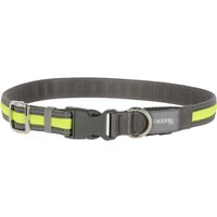 Kerbl Pet Light & Reflex ljushalsband - Storlek S/M: 35-50 cm halsomkrets, 20 mm bred