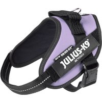 Julius-K9 IDC® Powerharness, violet Gr. S/Mini : tour de poitrine 49-67cm pour chien