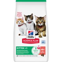 Hill's Science Plan Kitten