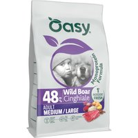lot économique : 2x10kg Oasy Adult Medium/Large Sanglier nourriture pour chien sèche