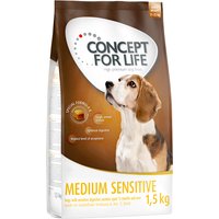 4x1,5kg Medium Sensitive Concept for Life - Croquettes pour chien