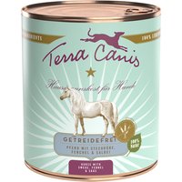 6x800g Graanvrij Paard met Koolraap, Venkel & Salie Terra Canis Hondenvoer