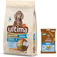 Ultima Hundfoder + 180 g Dental Sticks Medium / Maxi på köpet! - Medium / Maxi Junior kyckling 12 kg