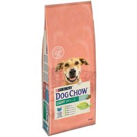 PURINA Dog Chow Adult Light Tacchino Crocchette per cane - Set %: 2 x 14 kg