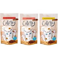 3x65g friandises fourrées 3 saveurs différentes Catessy - Friandises pour Chat