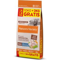 Nature's Variety 12 kg ração para cães: 10 + 2 kg grátis! - Healthy Grains Adult Medium/Maxi peixe