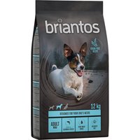 Briantos Adult Mini Zalm & Aardappel - Graanvrij Hondenvoer - 12 kg