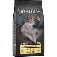 2x12kg Adult Mobility Kip & Aardappel Graanvrij Briantos Hondenvoer